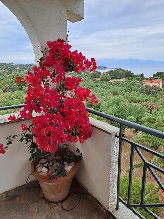 Villa Mariana Koróni Екстериор снимка